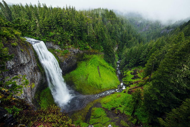 A tall waterfall descends a rocky cliff into a dark plunge pool, feeding a narrow stream that winds through a steep, moss-covered valley surrounded by dense coniferous forest under an overcast sky.